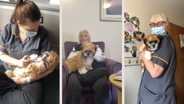 Falkirk care home celebrates four-legged friends
